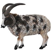 Фигурка Овца четырехрогая Collecta 88728b