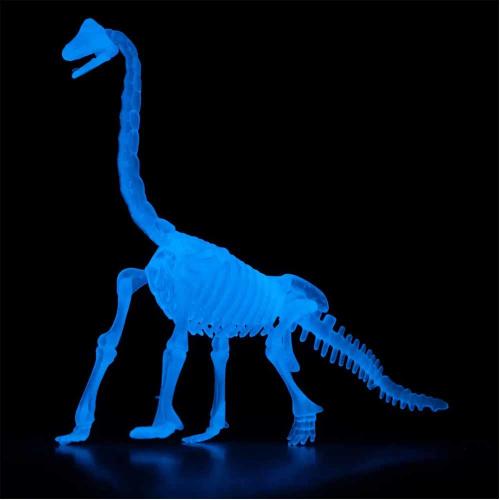 Игрушка Сборная люминисцентная модель скелета динозавра 3DINO LUMINUS 1TOY Т16456 фото 2